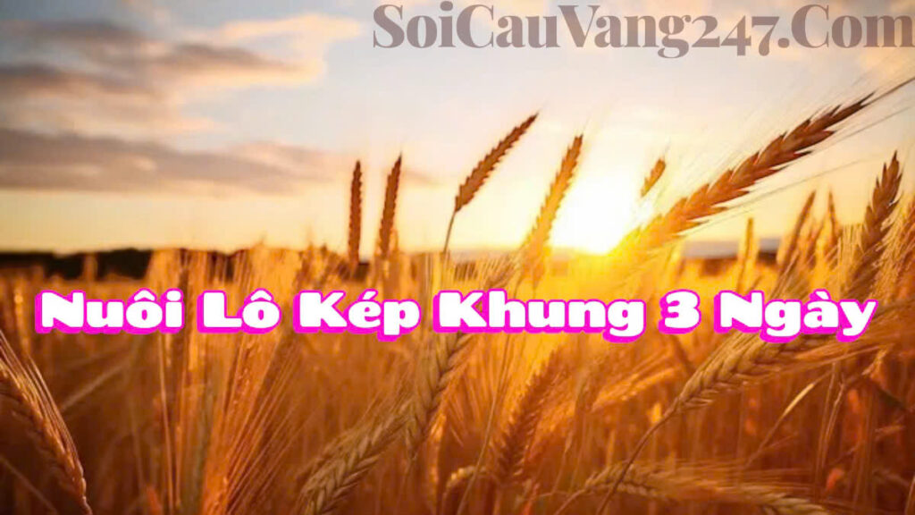 Nuôi lô kép khung 3 ngày