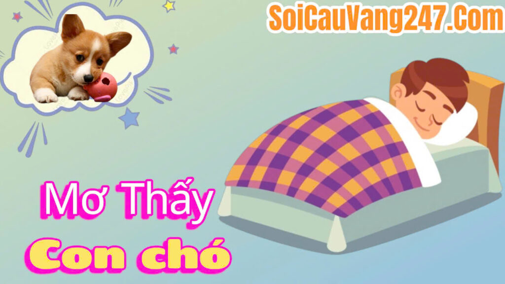 mơ thấy con chó