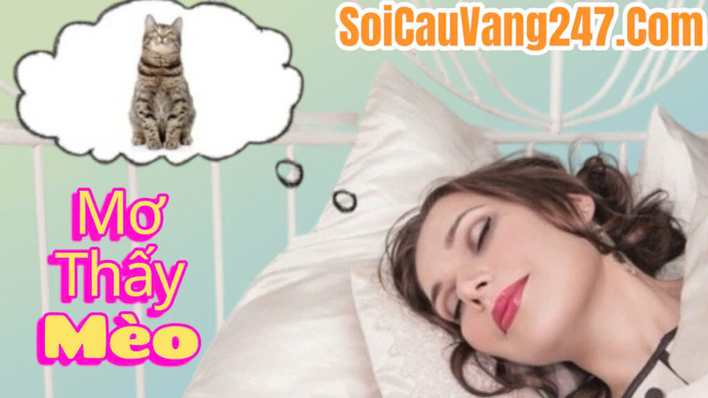 Mơ thấy con mèo