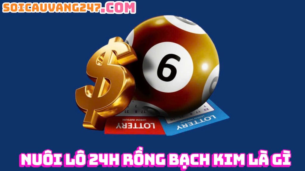 kinh nghiệm nuôi lô 24h