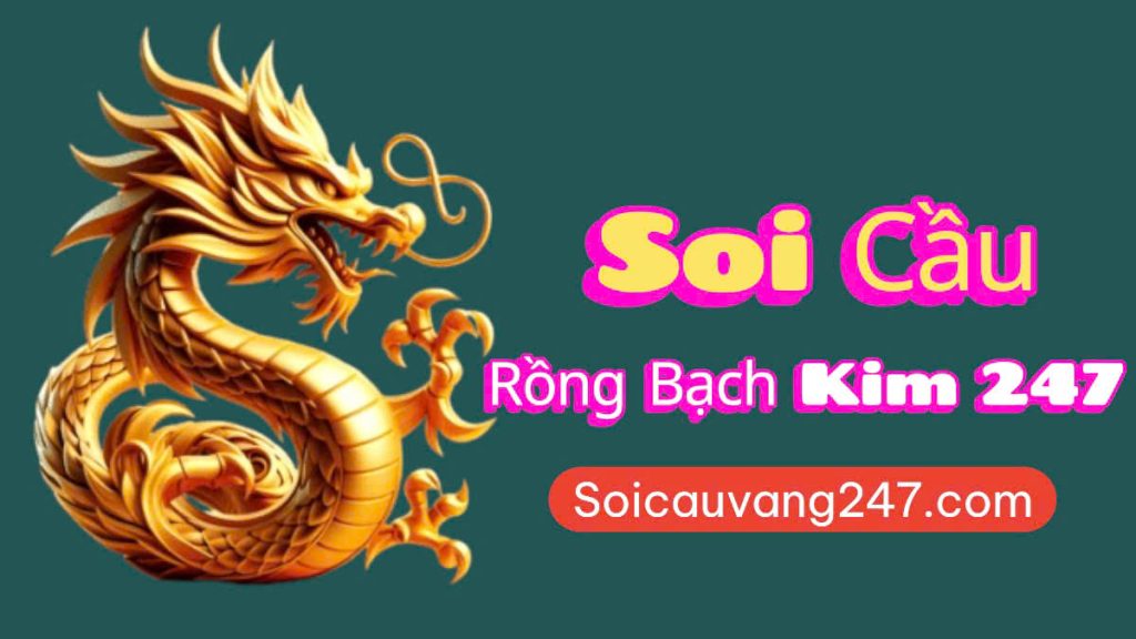 Soi cầu 247 Rồng Bạch Kim