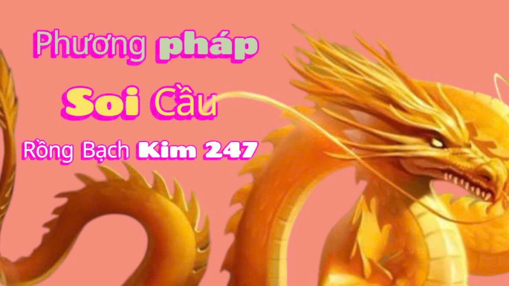 Soi cầu 247 Rồng Bạch Kim