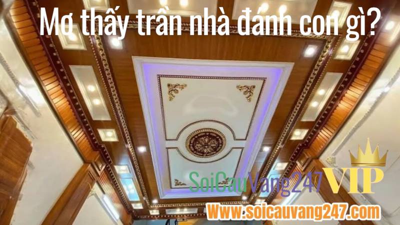 Mơ Thấy Trần Nhà Đánh Con Gì