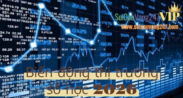 Biến Động Thị Trường Số Học 2026