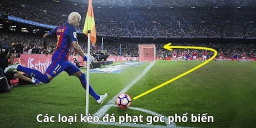 Tìm hiểu kèo