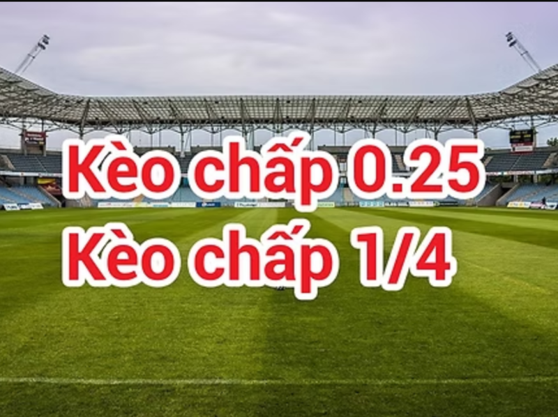 Cách xem kèo chấp đá bóng